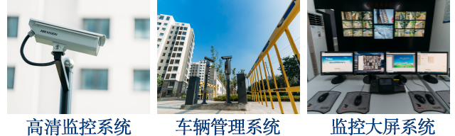 91短视频污下载解決方案